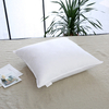 Goose / Duck Feather Decorated Hotel Sofa Cushion Insert